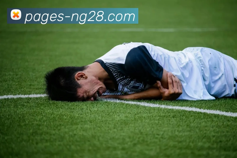 南宫NG28官网发展历程