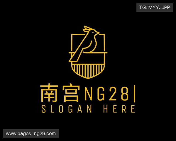 解读南宫NG28集团